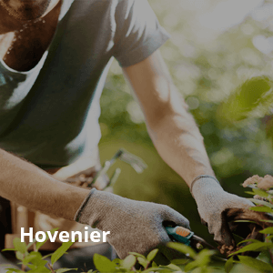 Hovenier